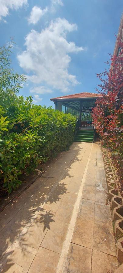 Rami Hotel Fālūghā Dış mekan fotoğraf